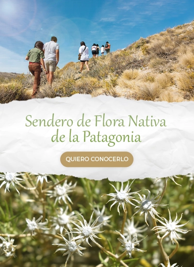 SENDERO SLIDER